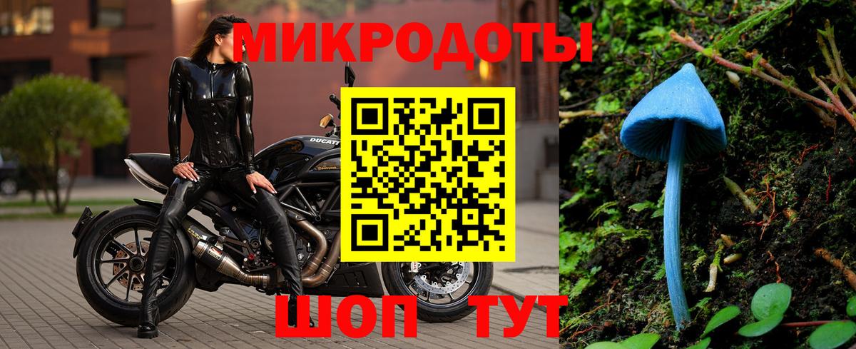 Псилоцибиновые грибы мицелий Надым
