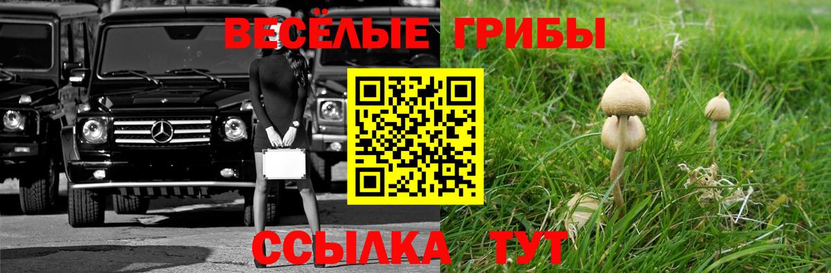 Надым  Псилоцибиновые грибы GOLDEN TEACHER  Псилоцибиновые грибы Magic Shrooms  Вход с VPN 
